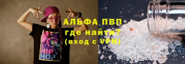 прущие грибы Сатка